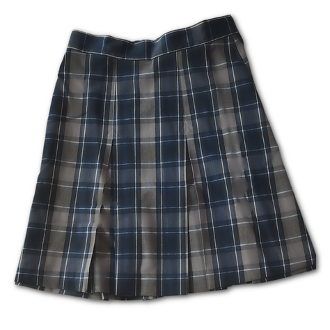 Paragon Blu School Uniforms, Plaid Box Pleat Skirt, Crestwood Prep, Toronto, Canada